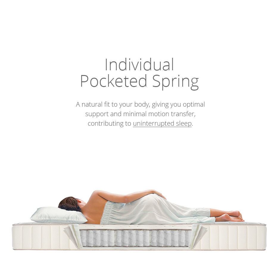 Pocket spring support system